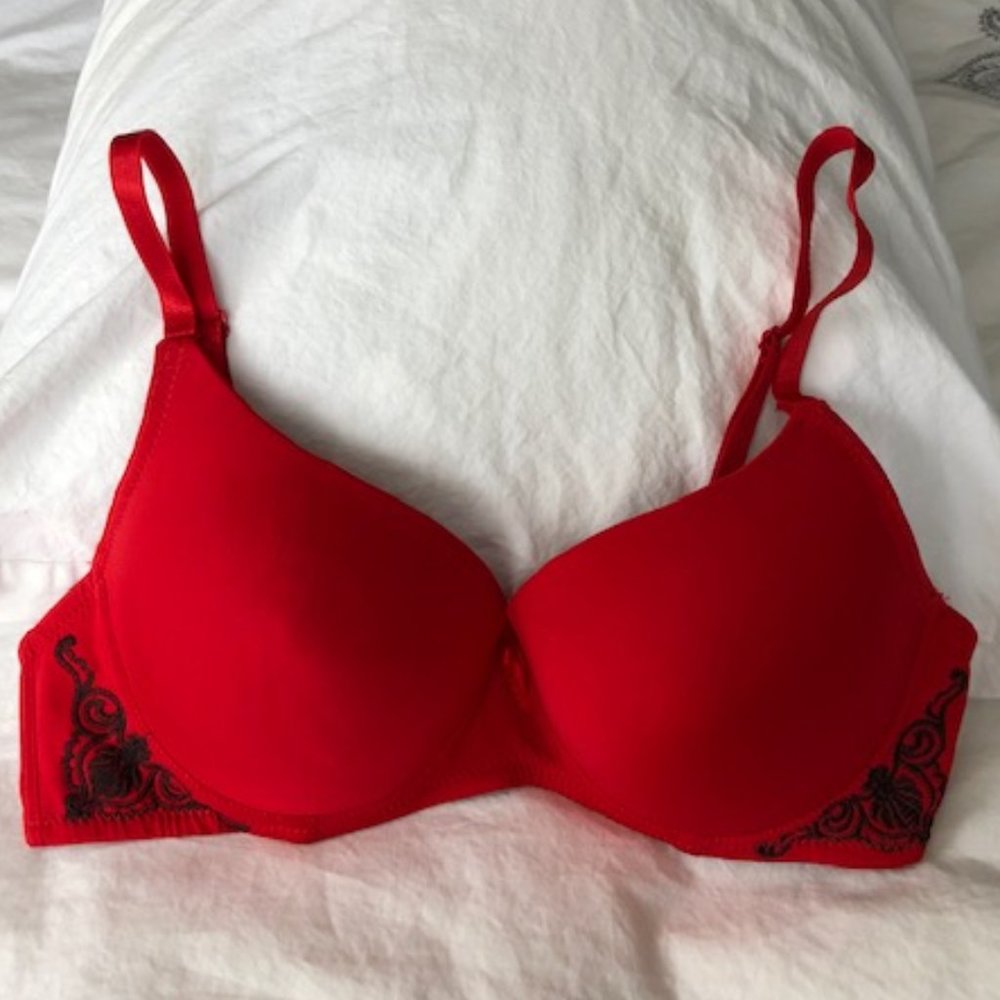 Red Bra with Black Embroidery
